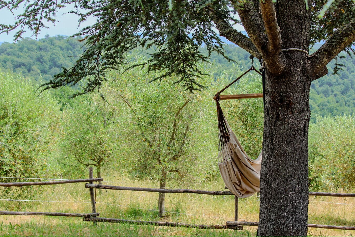 Un hamac est attaché à un arbre dans une zone herbeuse, avec une clôture en bois au premier plan.