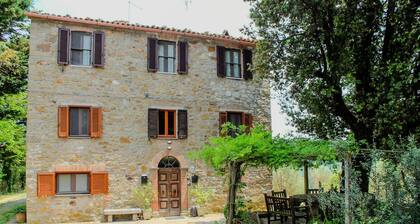 Podere tra gli Ulivi - Double Room Apartment