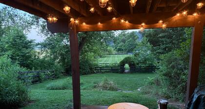 Stylish 1-bd/1-ba gardern apt within quaint Bluemont village, walk to wineries.