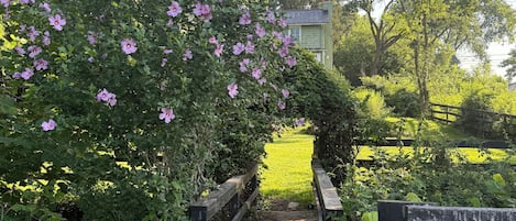 Boendeområde