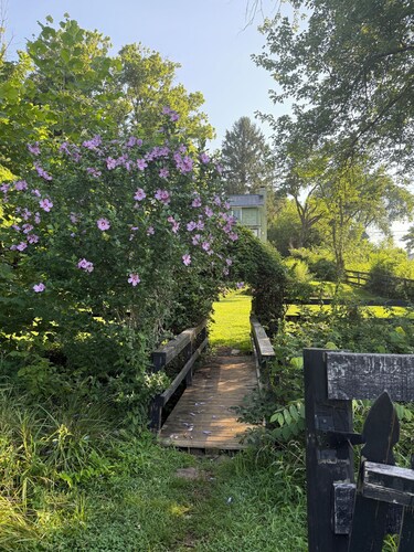 Stylish 1-bd/1-ba gardern apt within quaint Bluemont village, walk to wineries.