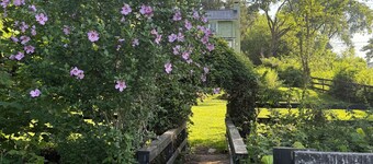 Stylish 1-bd/1-ba gardern apt within quaint Bluemont village, walk to wineries.