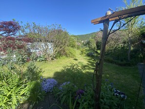 A garden with various plants and a wooden pergola.