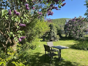 A garden with a table and chairs, surrounded by trees and shrubs.