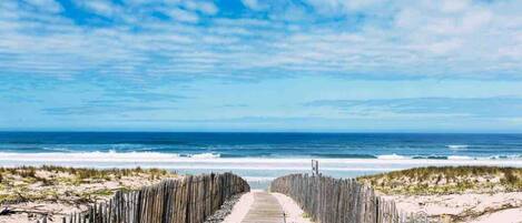 Strand