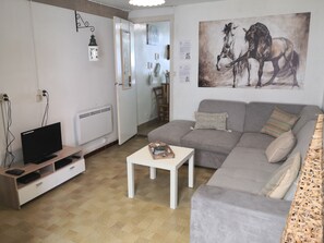 TV, DVD-spiller og bøker