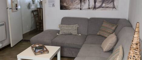 TV, DVD player, books