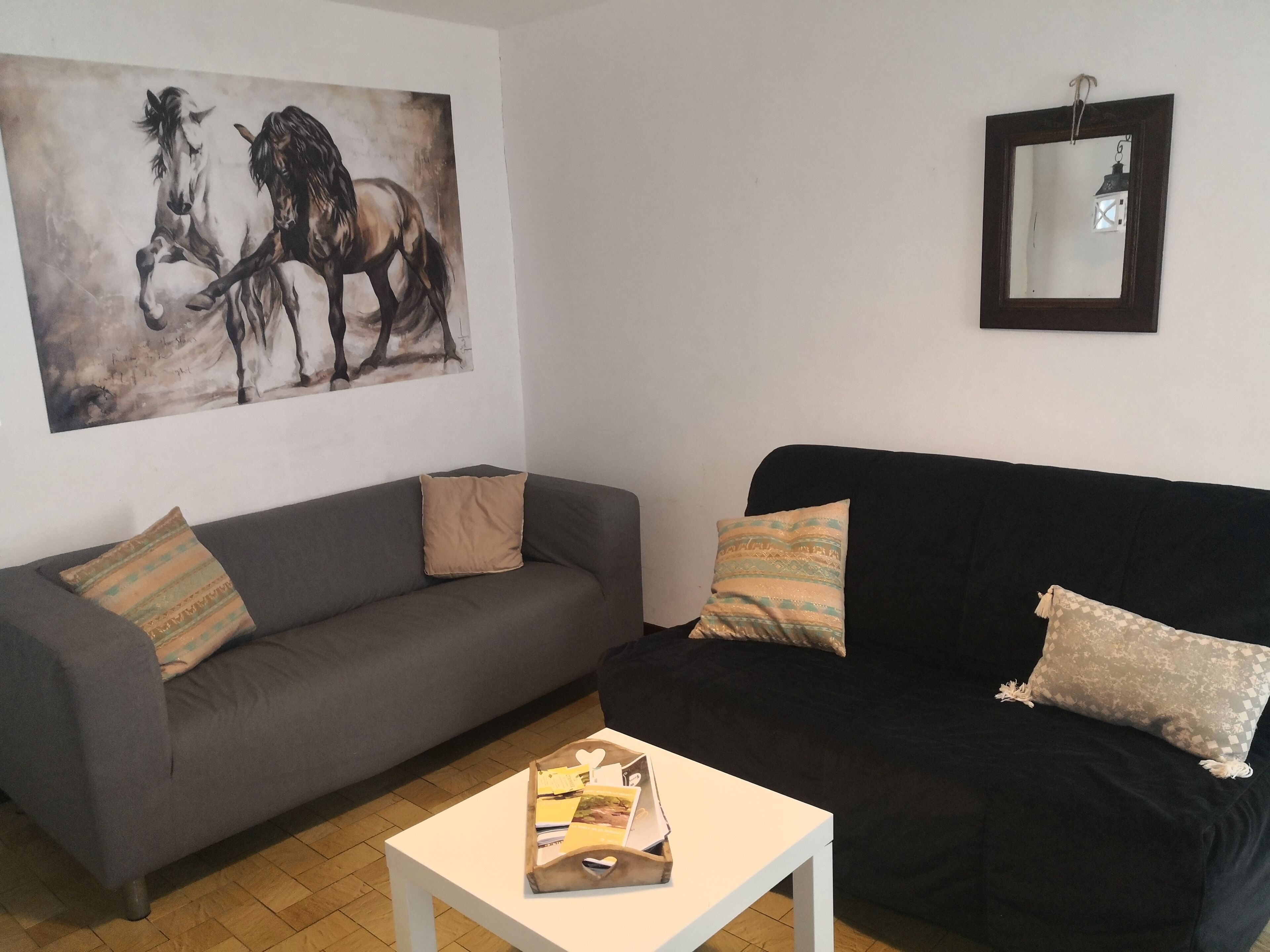 Télévision, lecteur de DVD, livres