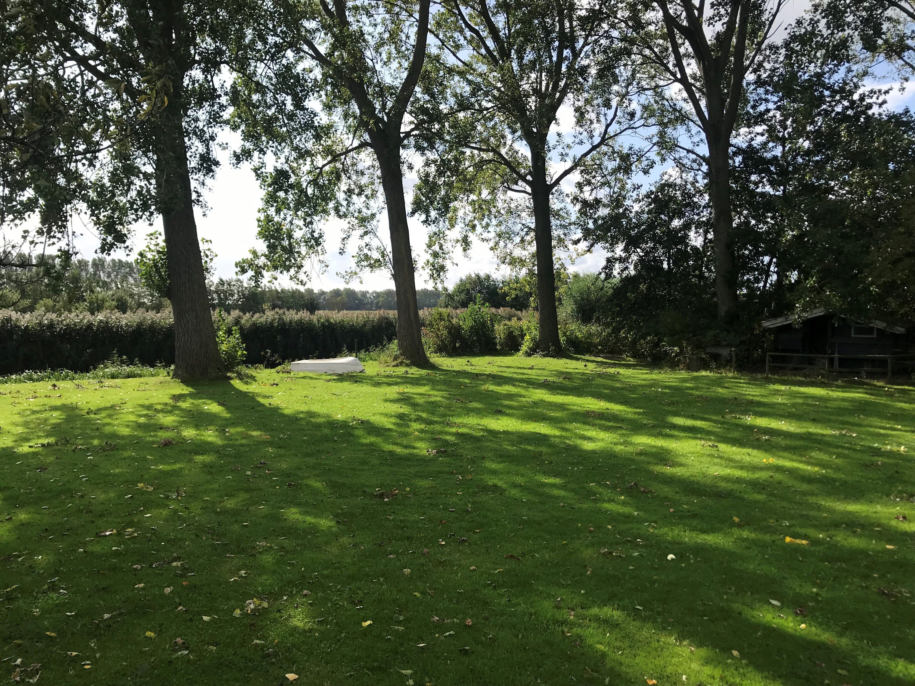 A grassy outdoor area with trees and a small white structure.
