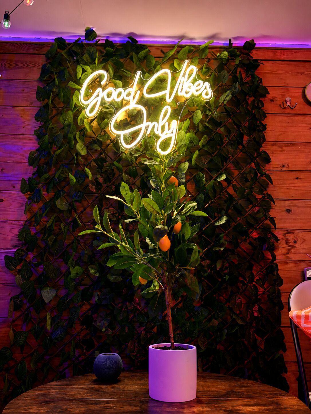 Neonbord met de tekst 'Good Vibes Only' boven een plant in een houten kamer.