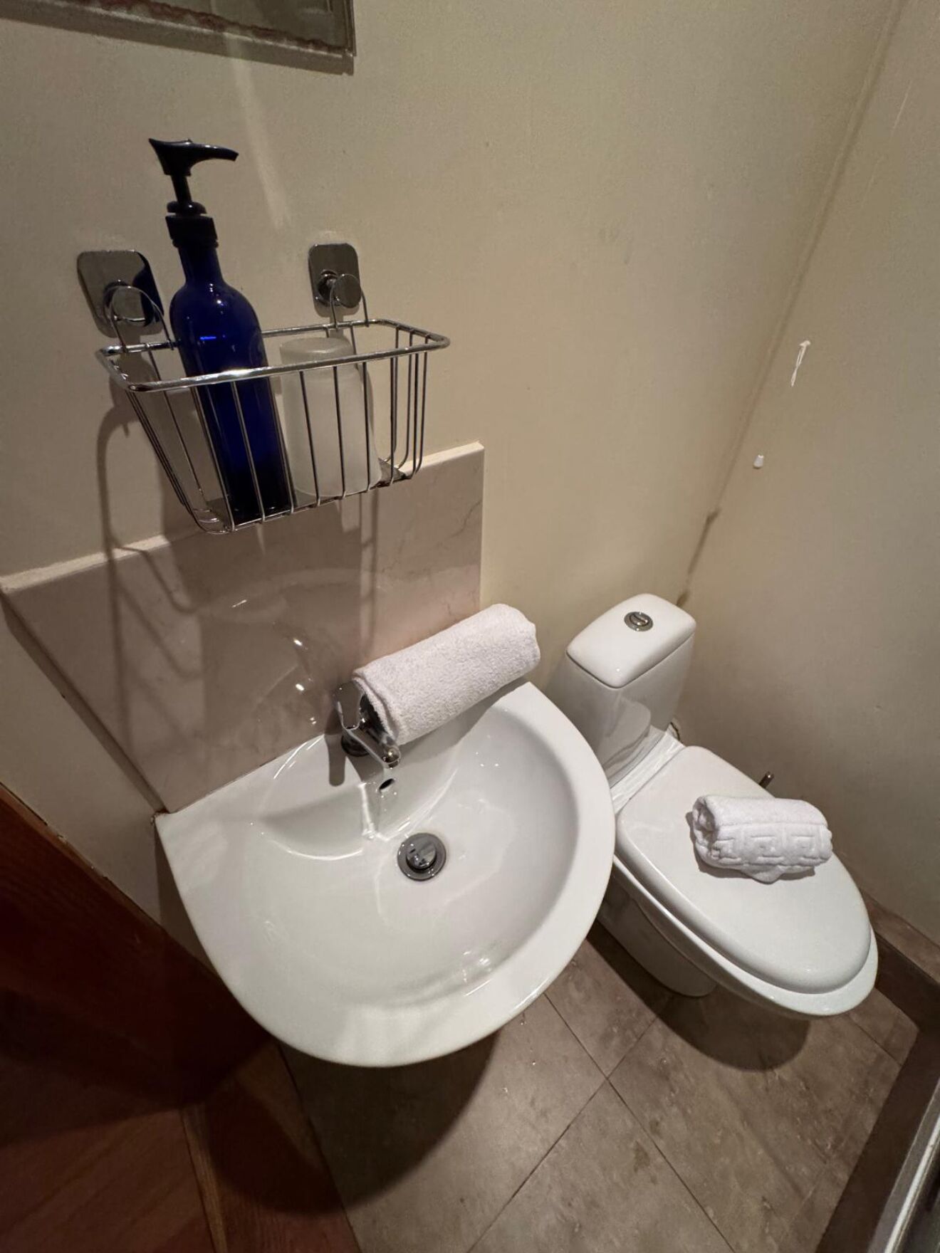 Ett badrum med ett vitt handfat, en toalett och en metallhylla där en blå flaska och en tvålpump står.