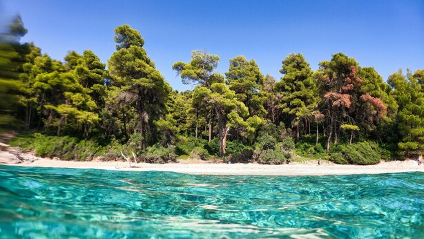 A beach with clear turquoise water and a line of trees in the background. - Villa Panorama, the magic of Skiathos in a family villa with history (Skiathos)