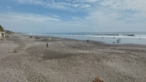 A beach with a sandy shore, a few people walking, and a palm tree in the background.