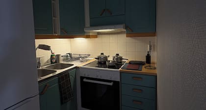 Cozy apartment in Central Mariehamn – Walk to Ferry & City