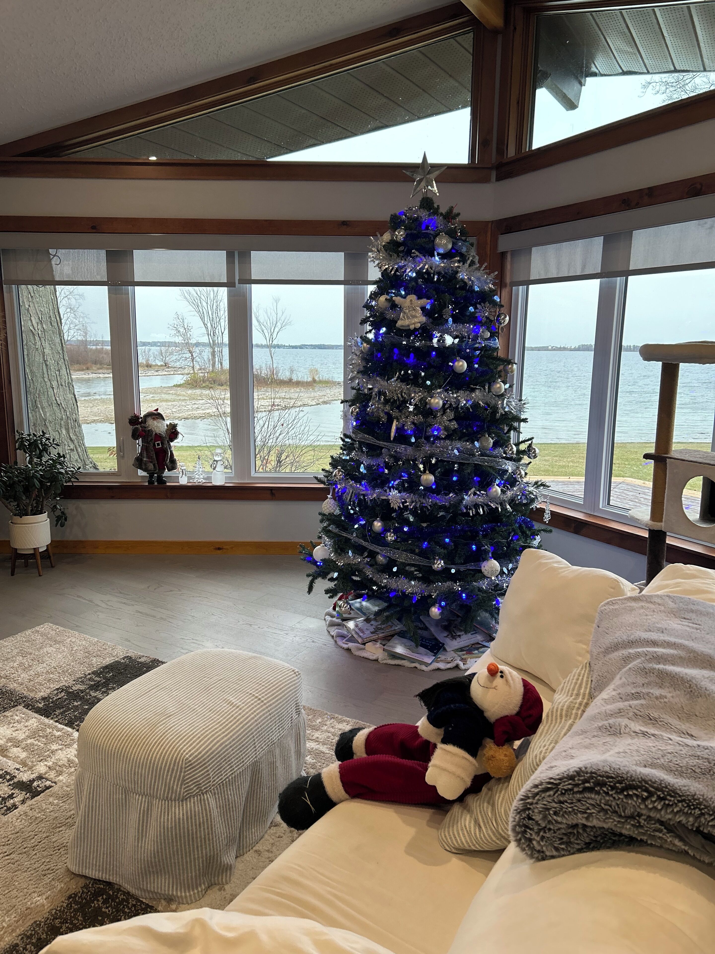 Smart TV, caminetto, lettore DVD, libri