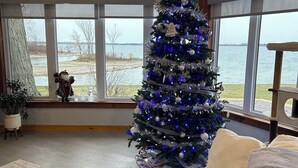 Un salón acogedor con un ventanal grande, un árbol de Navidad decorado y un peluche en un sofá.