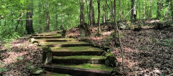 Garden Ensuite at the Chapel Hill Retreat Center