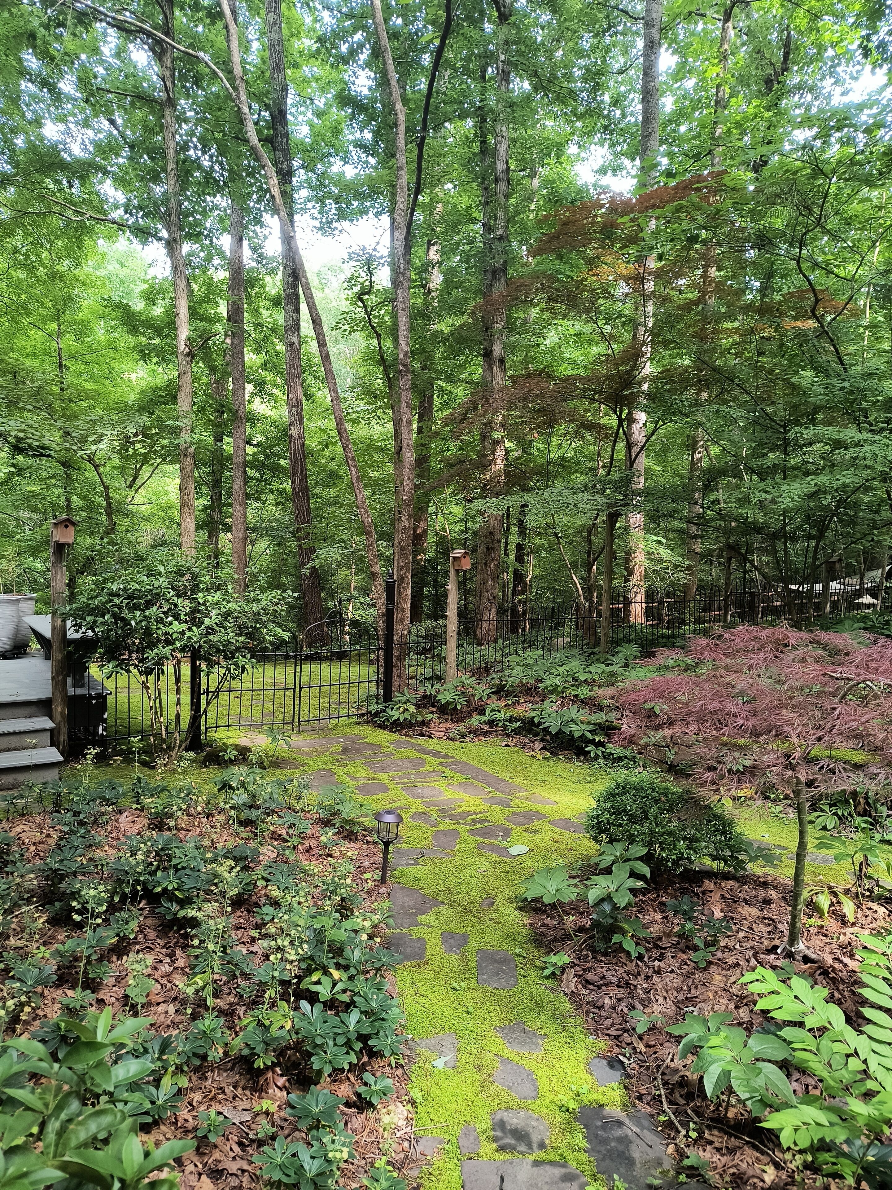 A garden with a stone pathway, lush greenery, and birdhouses.