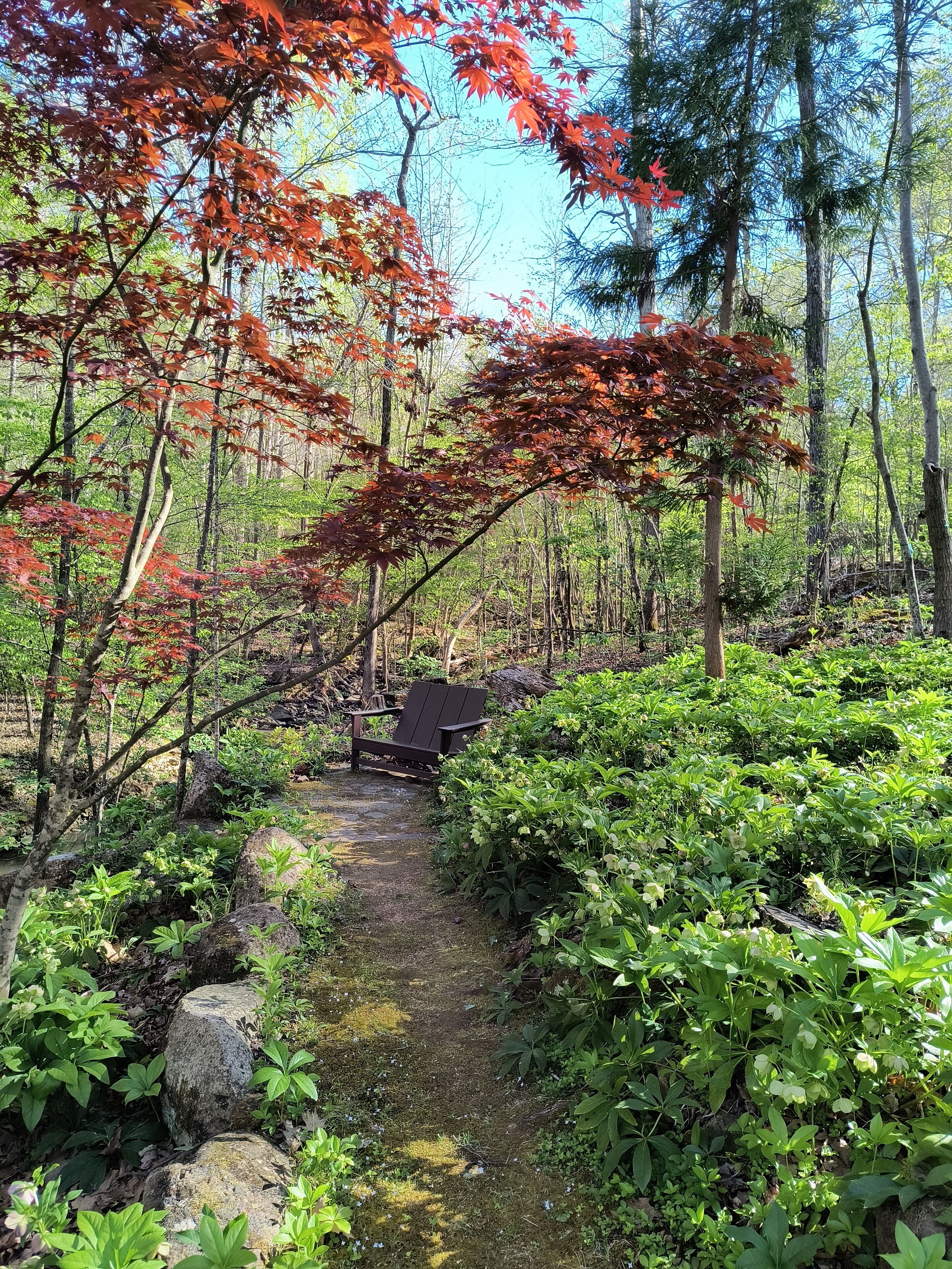 Àrea exterior de l'allotjament