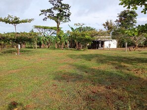 Área da propriedade