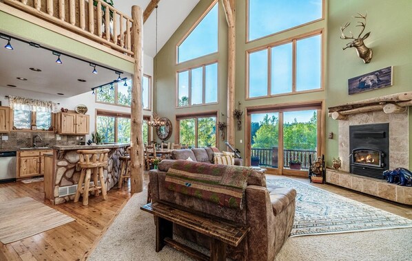 TV, fireplace, books