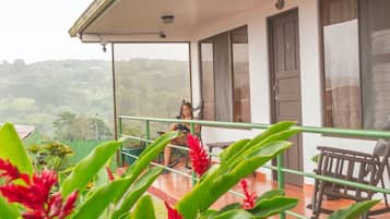 Vista desde la propiedad