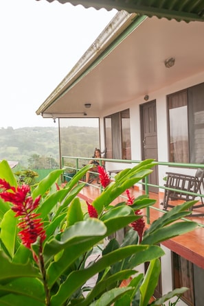 View from property
