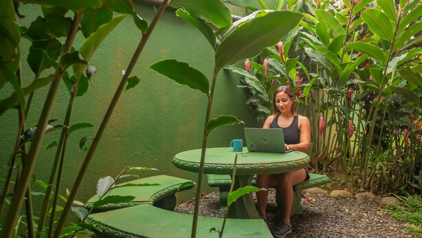 A person sitting at a green table with a laptop, surrounded by lush greenery and plants.