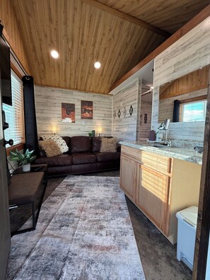 Smart TV, fireplace, books, stereo