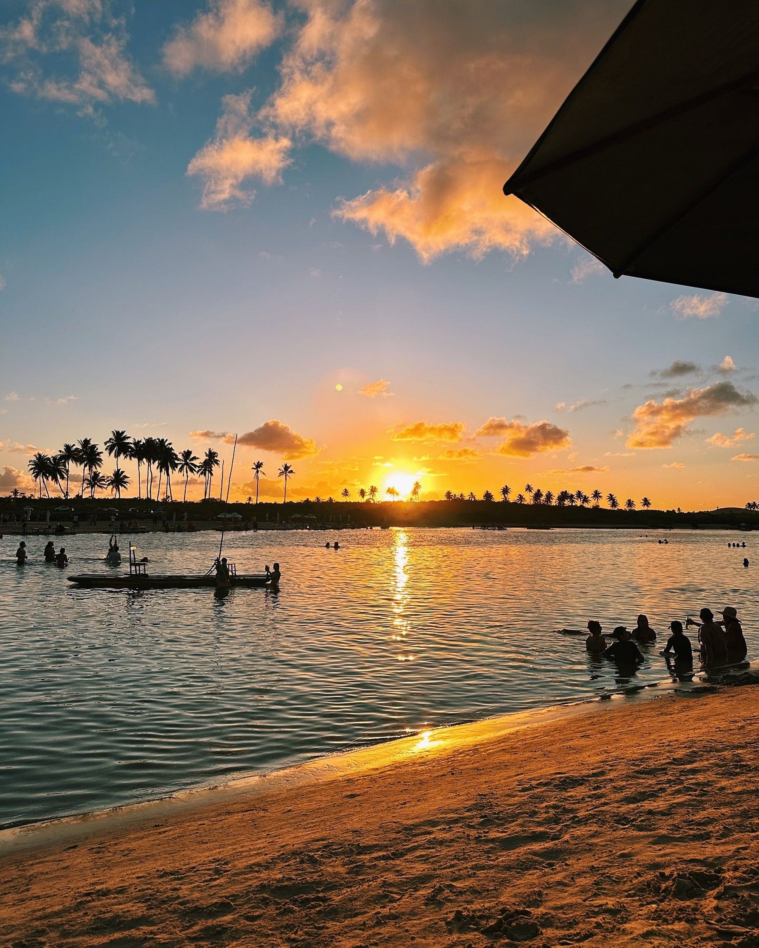Une scène de plage avec des palmiers, un coucher de soleil et des personnes dans l’eau.