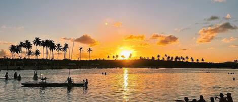 Une scène de plage avec des palmiers, un coucher de soleil et des personnes dans l’eau.