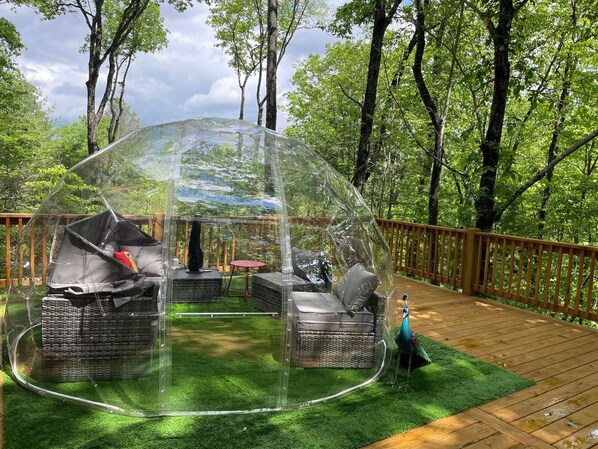 テラス / パティオ