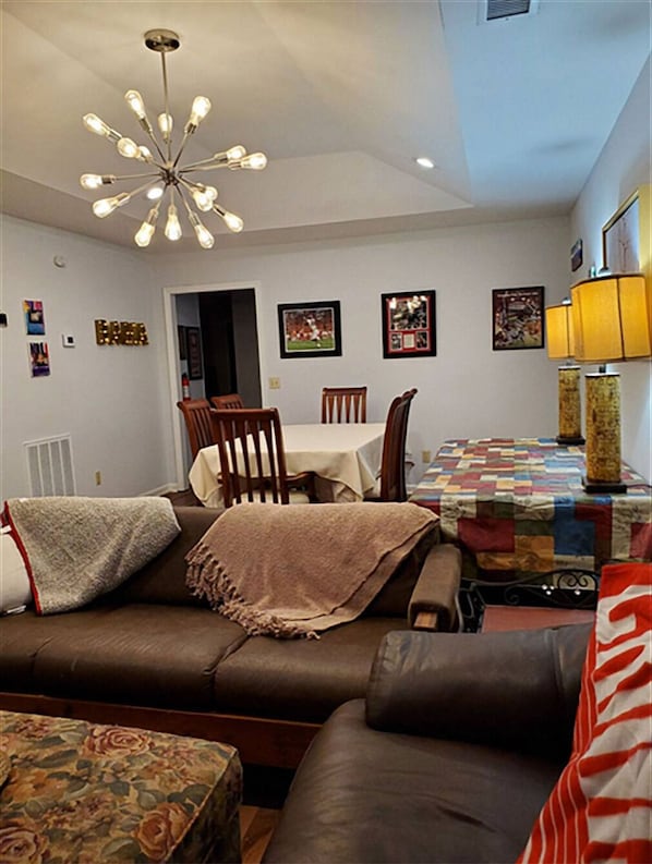 Smart TV, fireplace, DVD player, video library