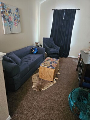 Smart TV, fireplace, DVD player, books