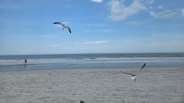 Ein Strand mit Sand und blauem Himmel.