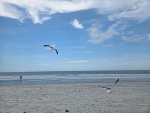 Ein Strand mit Sand und blauem Himmel.