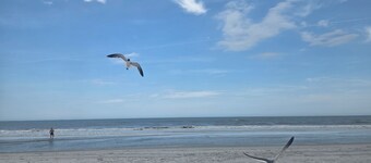 Charming 3-bedroom house with AC,WiFi, private backyard and more in Ormond Beach