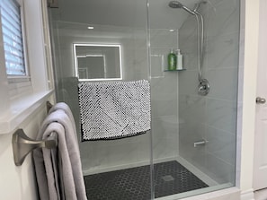 Hair dryer, towels, soap, shampoo