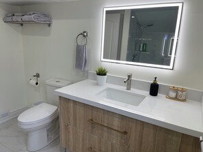 Hair dryer, towels, soap, shampoo