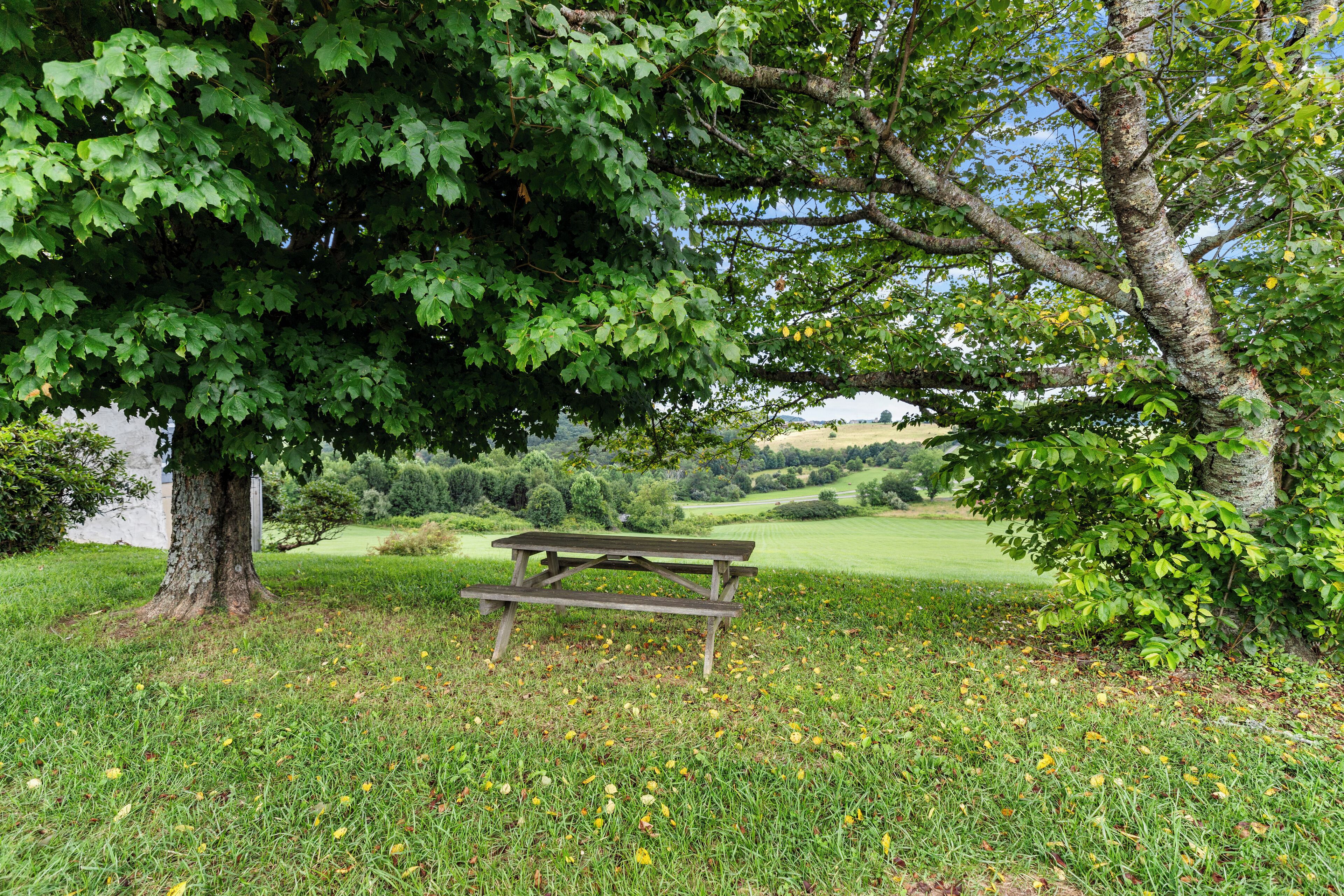 A picnic table under a large tree in a grassy park area.