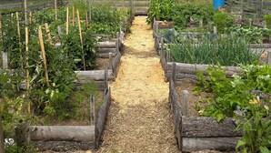 Un jardín con jardineras elevadas y un sendero central.
