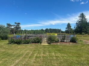 Property grounds - Cozy home in the heart of Advocate Harbour, Pet friendly! (Advocate Harbour)