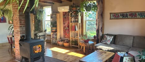 Smart TV, fireplace, books