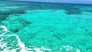 A clear view of turquoise ocean waters with visible coral formations and a boat in the distance.
