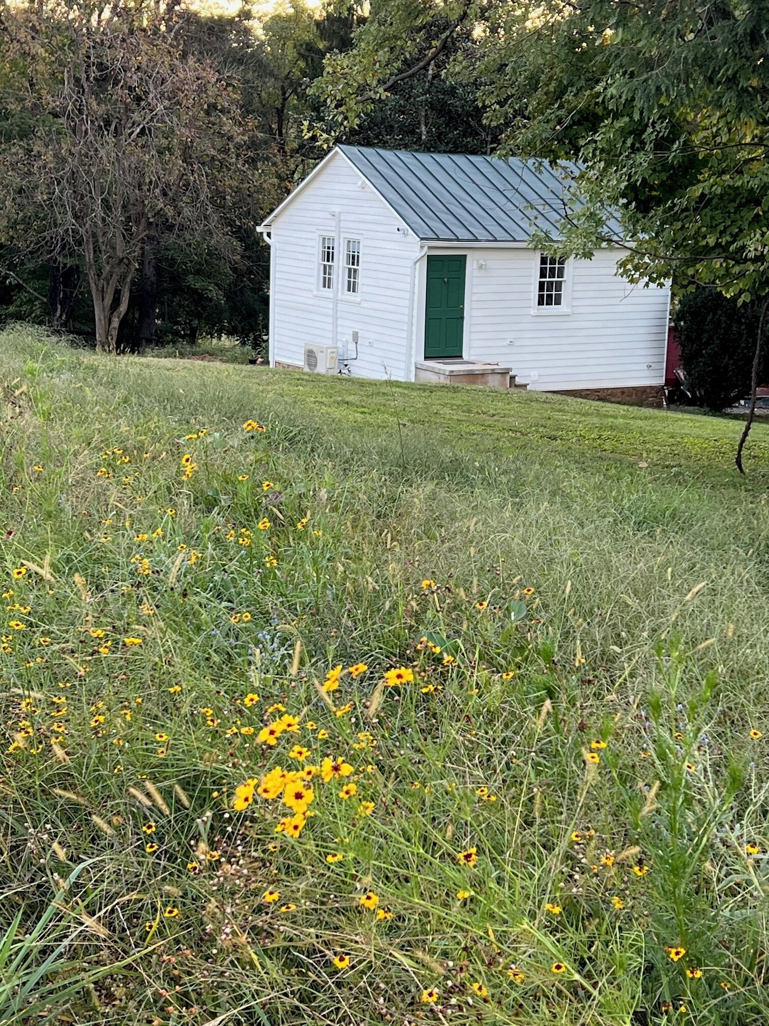 A white wooden cabin with a green door and a metal roof, surrounded by a grassy field with yellow flowers.