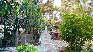Un sendero en un jardín con diversas plantas y una fuente.