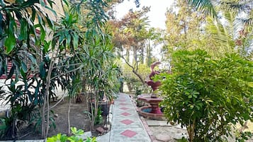 Terassi/patio