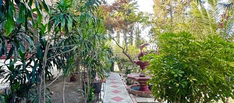Naryn Guest house