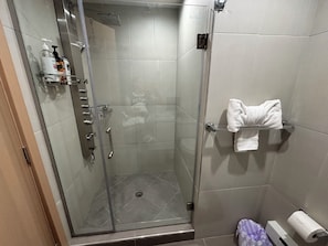 Dusche, Haartrockner, Handtücher, Seife