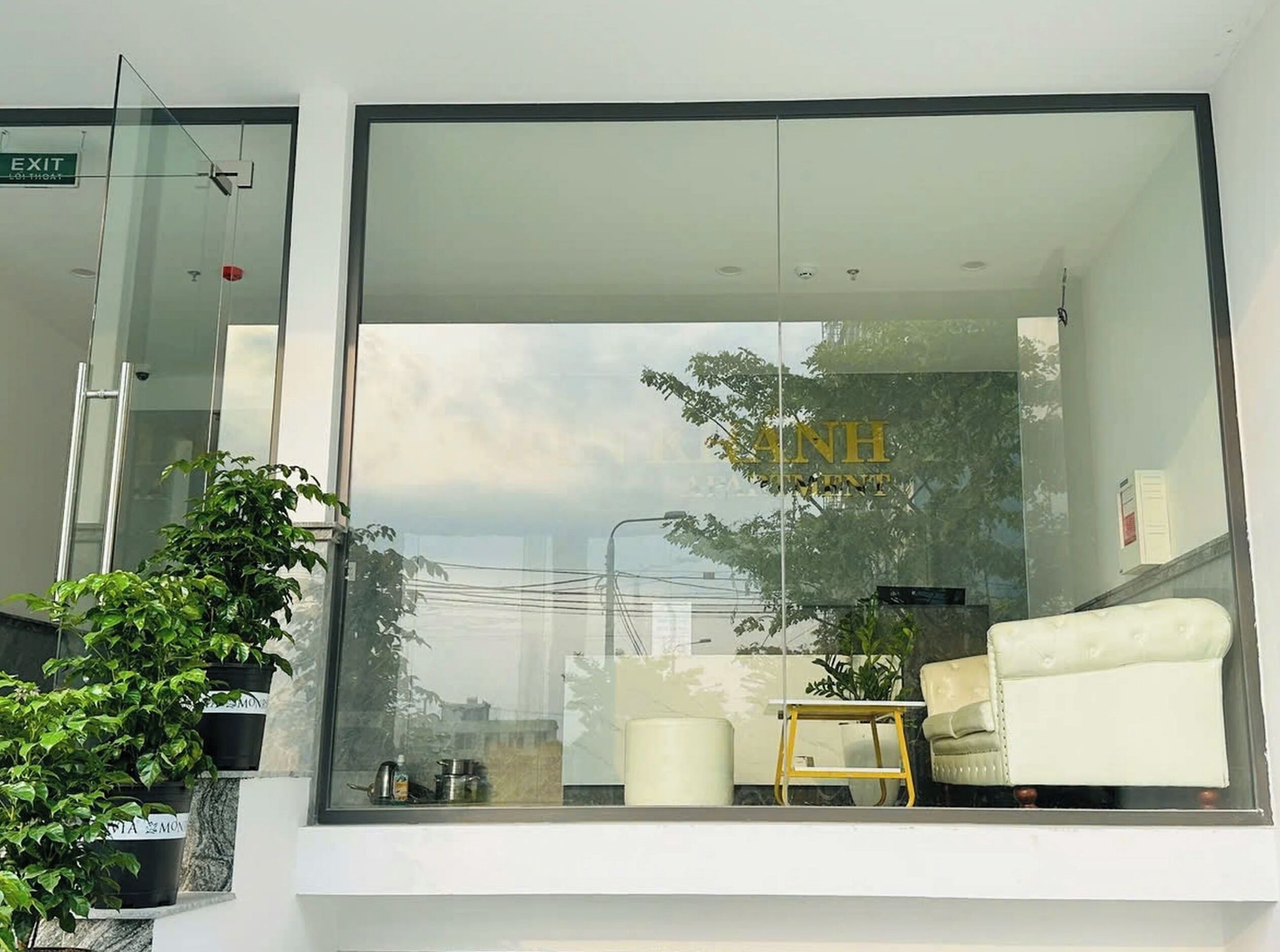Una habitación moderna con un ventanal grande, un sofá, una mesita y plantas en macetas.